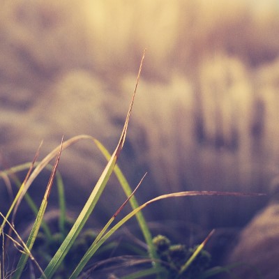 1920 x 1080 HD Wallpapers 2117